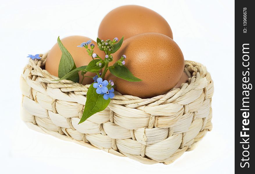Blue forget-me-nots and eggs lie in basket on white background
