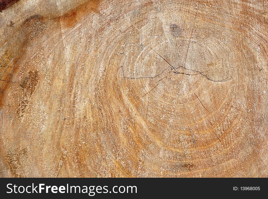 Image background of a wooden core