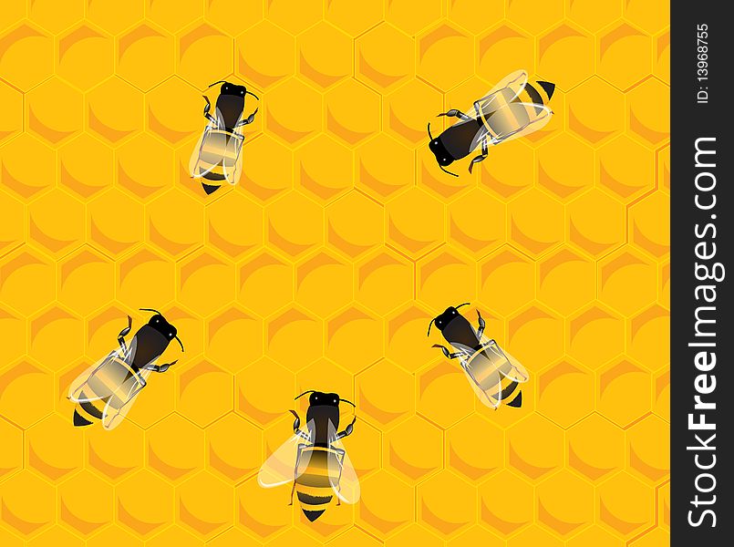 Bees on honey hive background
