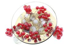 Red Currant In The Glass Plate Royalty Free Stock Image Red Currant In The Glass Plate Royalty Free Stock Image