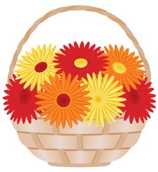 Gerber Daisies In Basket Royalty Free Stock Image Gerber Daisies In Basket Royalty Free Stock Image