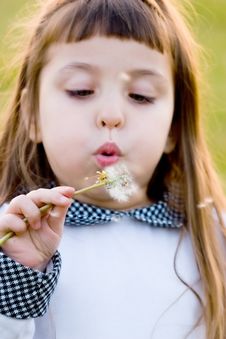 Child Blowing Dandelion Royalty Free Stock Images