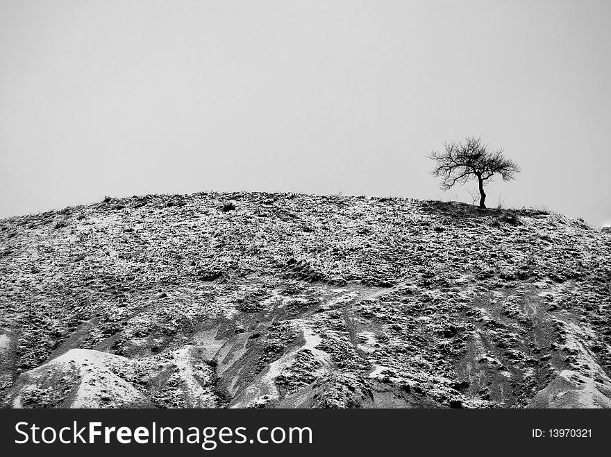 Tree on a hill in Cappadocia, Turkey during winter. Tree on a hill in Cappadocia, Turkey during winter.