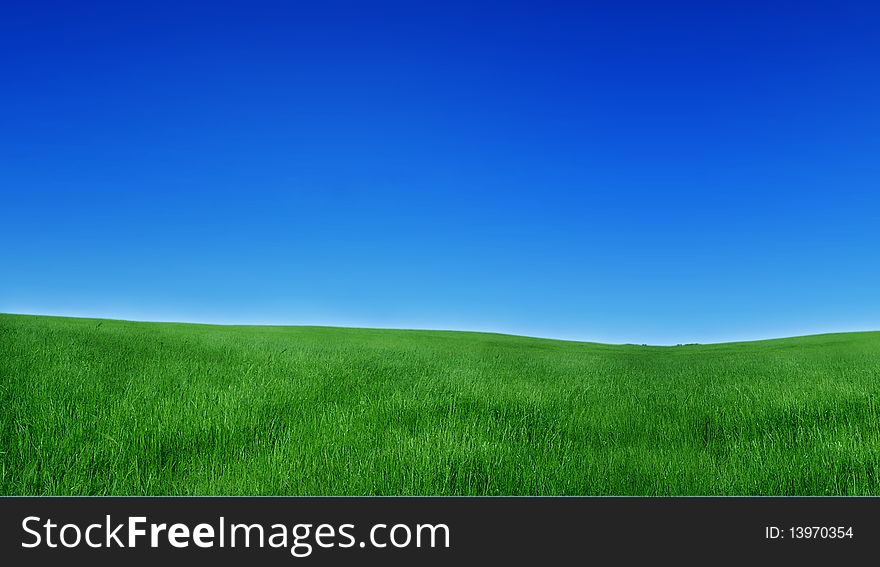 Beautiful landscape with grass and blue sky. Beautiful landscape with grass and blue sky