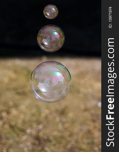 Soap bubble on grass background. Soap bubble on grass background.