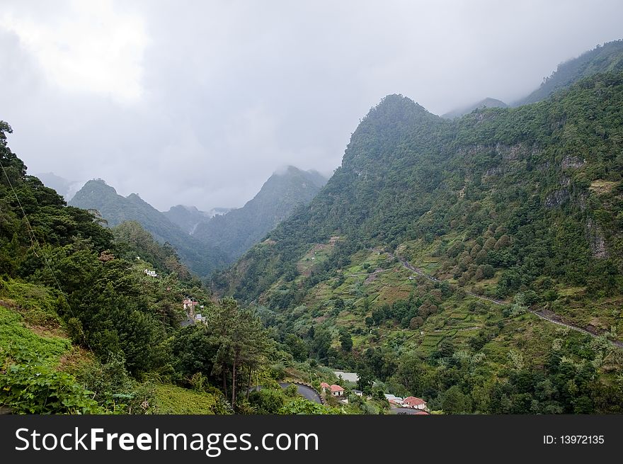 Cloud rainforest on madeira island, portugal. Cloud rainforest on madeira island, portugal