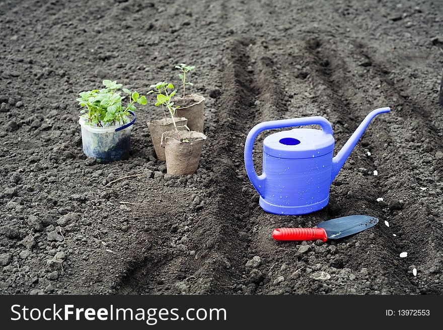 An image of a watering can on the ground