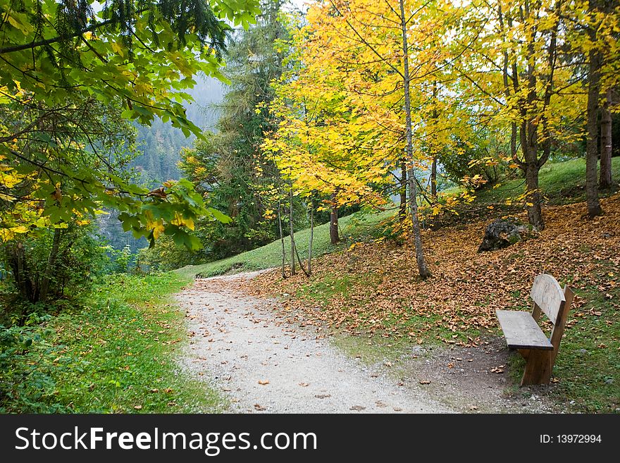 An image of a beautiful autumn park and a bench. An image of a beautiful autumn park and a bench