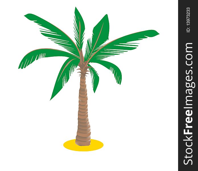 Illustration of a solitary palm tree