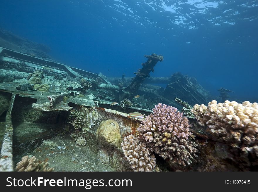 Wreck German freighter Kormoran - sank in 1984 Tiran