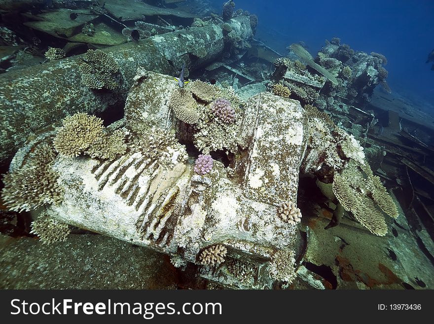 Wreck Freighter Kormoran - Sank In 1984 Tiran