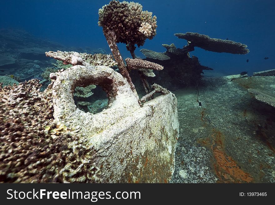 Wreck Freighter Kormoran - Sank In 1984 Tiran