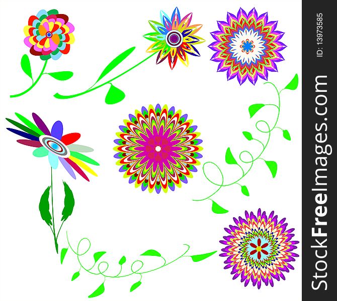 Set collors flowers on white background