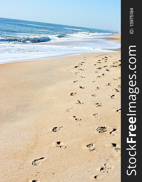 Footprints Along the Carolina Beach shore with waves crashing in the background. Footprints Along the Carolina Beach shore with waves crashing in the background.