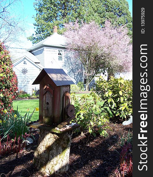 Garden with plants and decorative bird house . Garden with plants and decorative bird house .