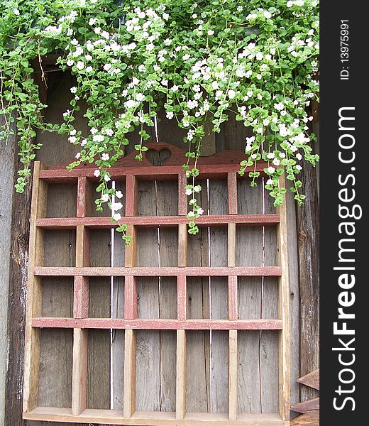 Stock Image Of Greenhouse Wall