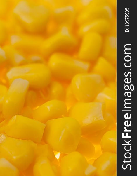 Vertical photo of yellow corn background