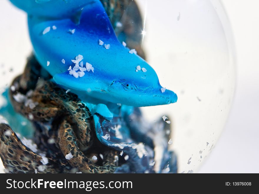 Souvenirs of dolphins into a crystal ball