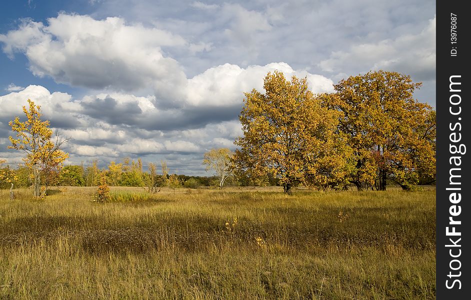 Autumn landscape with blue sky and clouds. Yellow trees and grass.