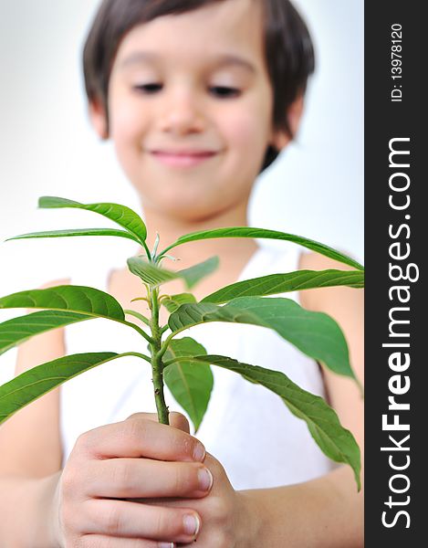 Cute positive kid boy with plant