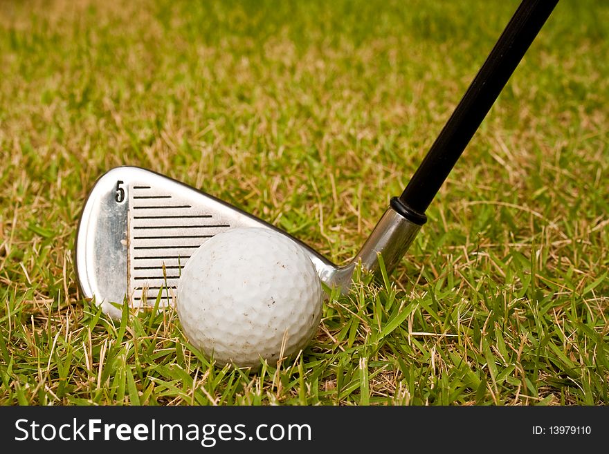 golf it for free