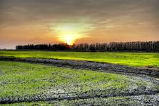 Rice Fields Royalty Free Stock Photo Rice Fields Royalty Free Stock Photo