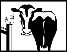 Black And White Cow  And A Rooster  Silhouette Stock Image