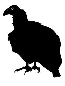 Silhouette Of Condor Royalty Free Stock Photos