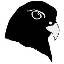 Silhouette Of Head Of Gyrfalcon Stock Photos