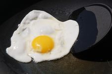 Frying Egg Stock Photography Frying Egg Stock Photography