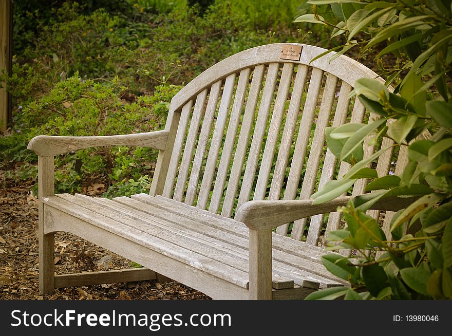 Park bench in the shadow of trees in a green park in spring