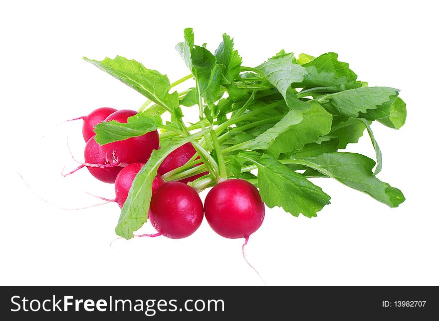 Fresh red radish isolated on white background