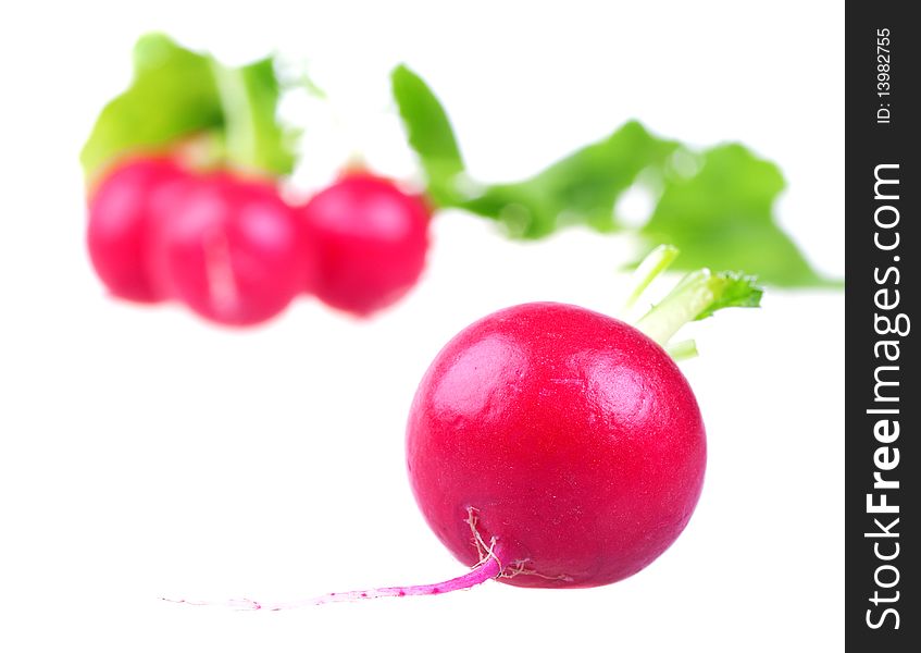 Fresh red radish isolated on white background