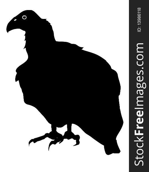 Vector black silhouette of condor