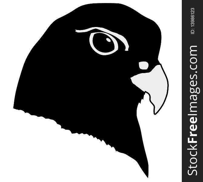 Vector silhouette of head of gyrfalcon