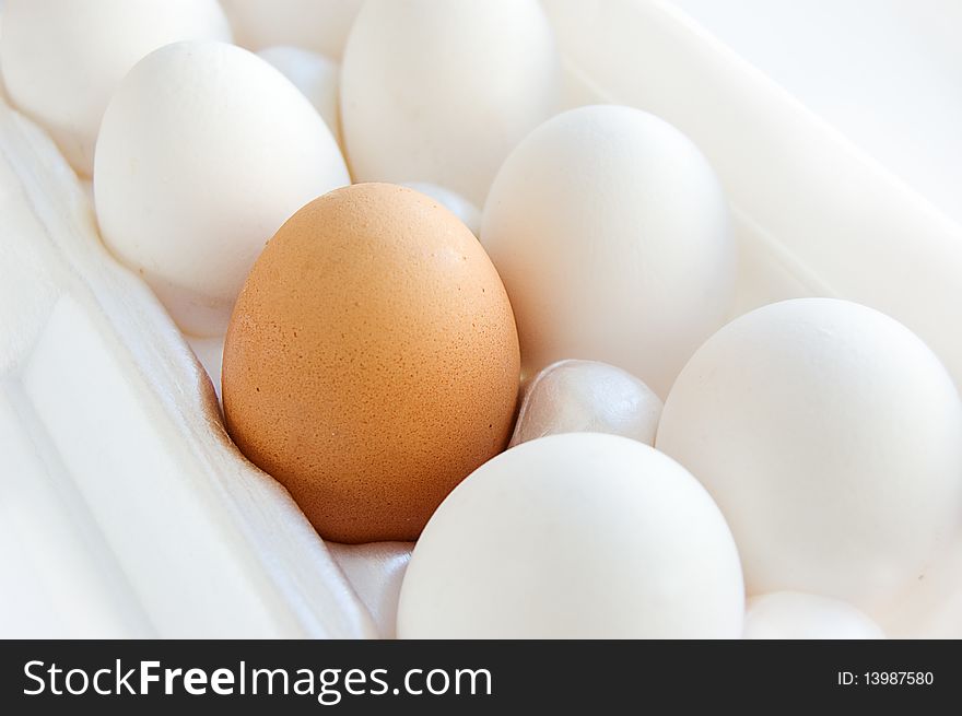 One brown egg among white eggs. One brown egg among white eggs