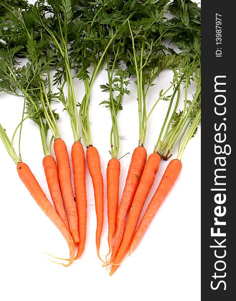 Bunch of fresh organic carrots