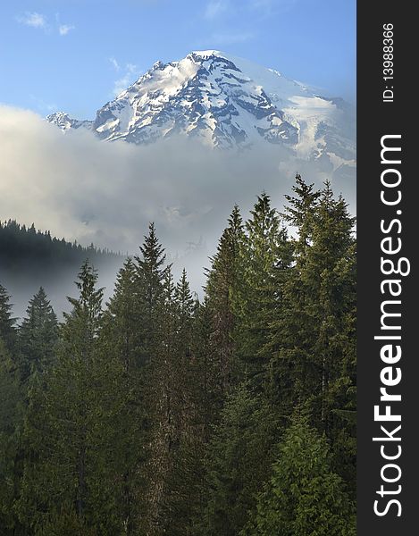 Snow-capped Mount Rainier above the clouds and forests. Snow-capped Mount Rainier above the clouds and forests