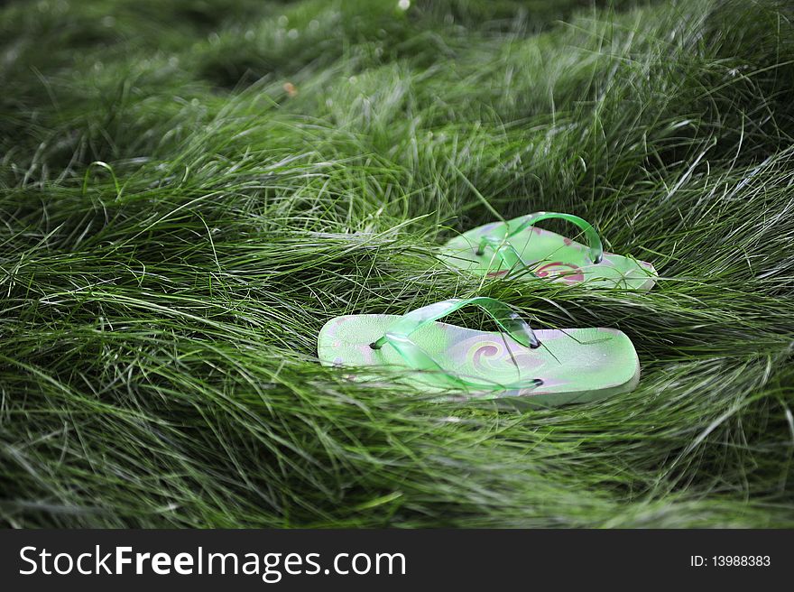A pair of flipflops resting in long grass. A pair of flipflops resting in long grass