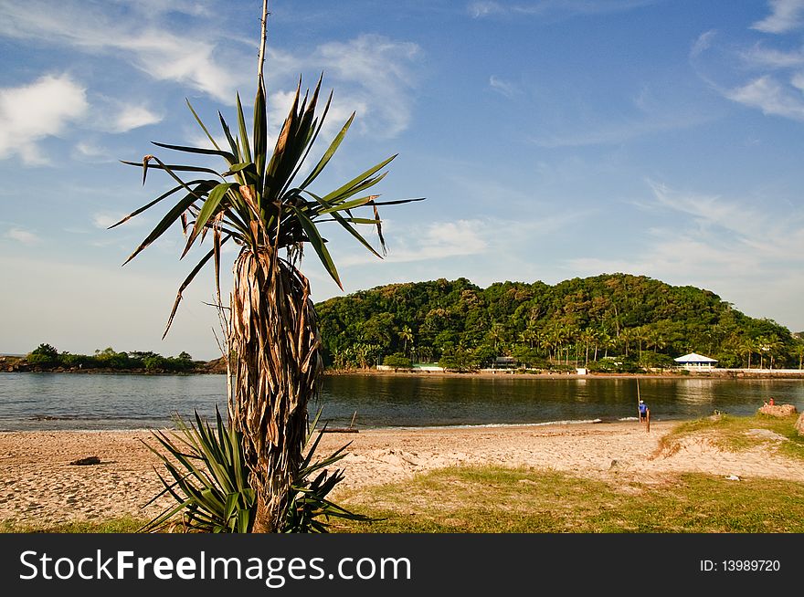 Beach in the brazilian city of Itanhaem. Beach in the brazilian city of Itanhaem.