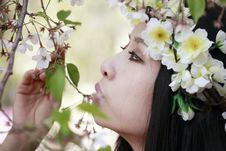 Cherry Blossom Girl Royalty Free Stock Photos Cherry Blossom Girl Royalty Free Stock Photos
