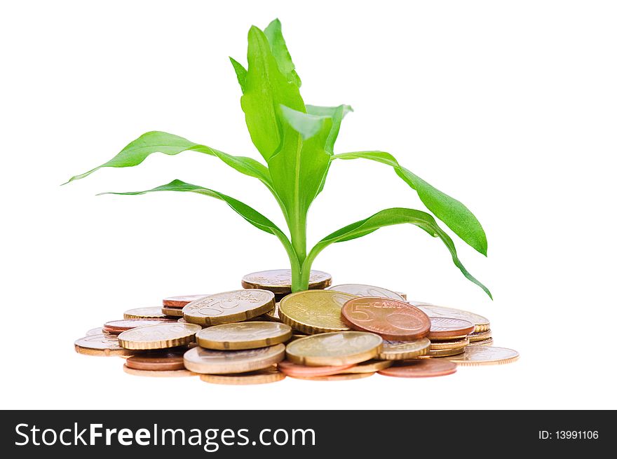 Coins and plant, isolated on white background