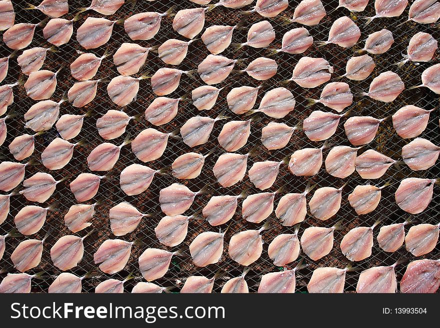 Fish market in Asia / drying / thailand