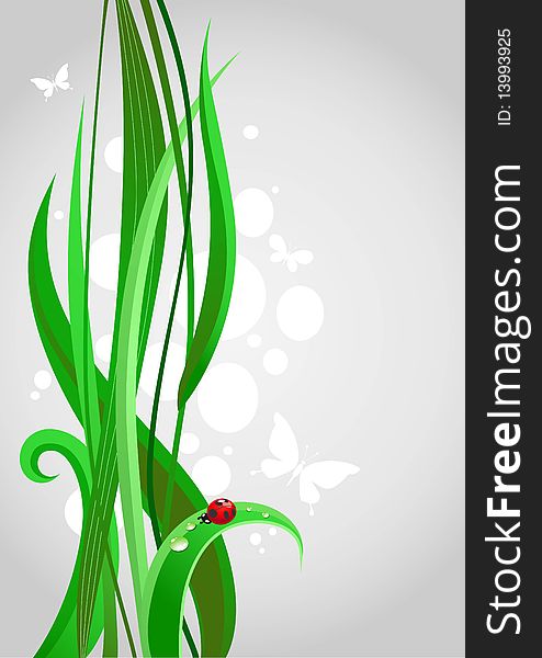 Green grass. Abstract background with space for text
