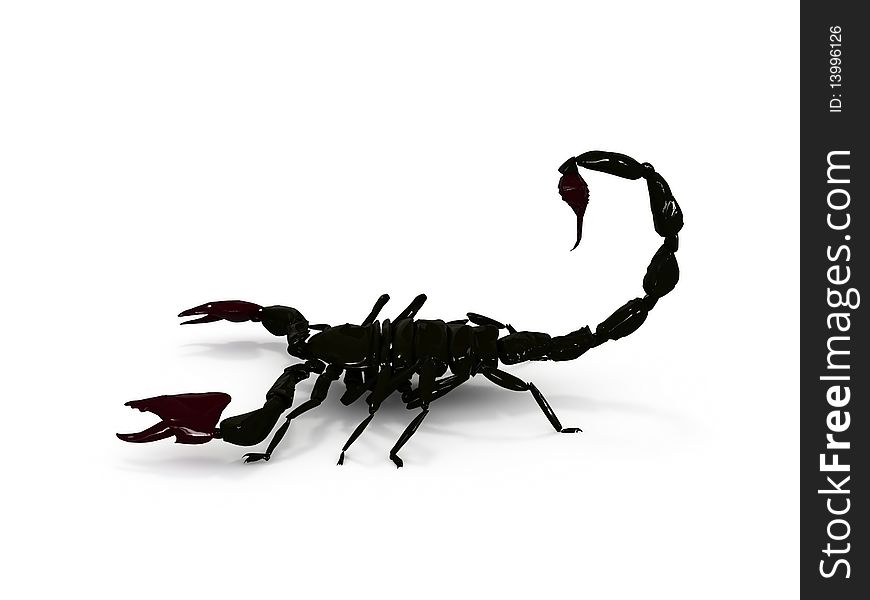 Black scorpion on a white background. 3D an illustration. Black scorpion on a white background. 3D an illustration