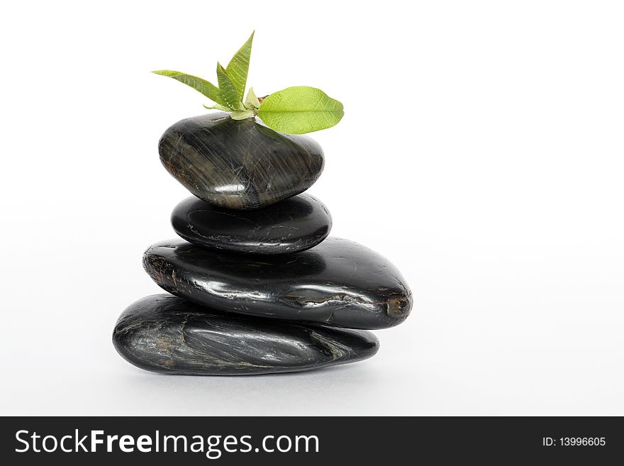 Green leaves lying on black balancing stones on white background. Green leaves lying on black balancing stones on white background