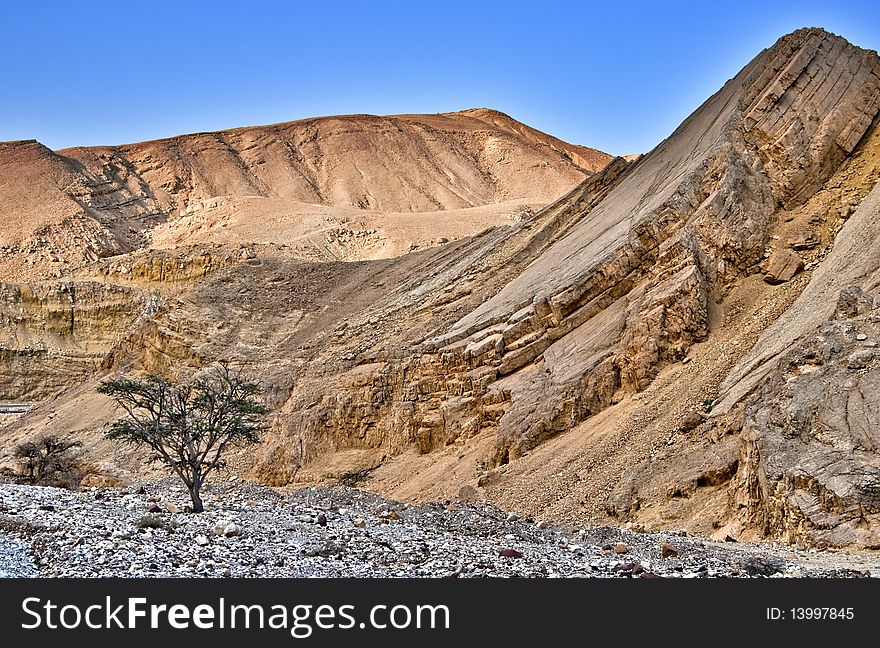 Red Canyon