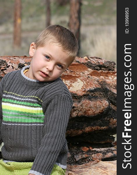 Little blond boy sitting on a tree trunk in the woods. Little blond boy sitting on a tree trunk in the woods