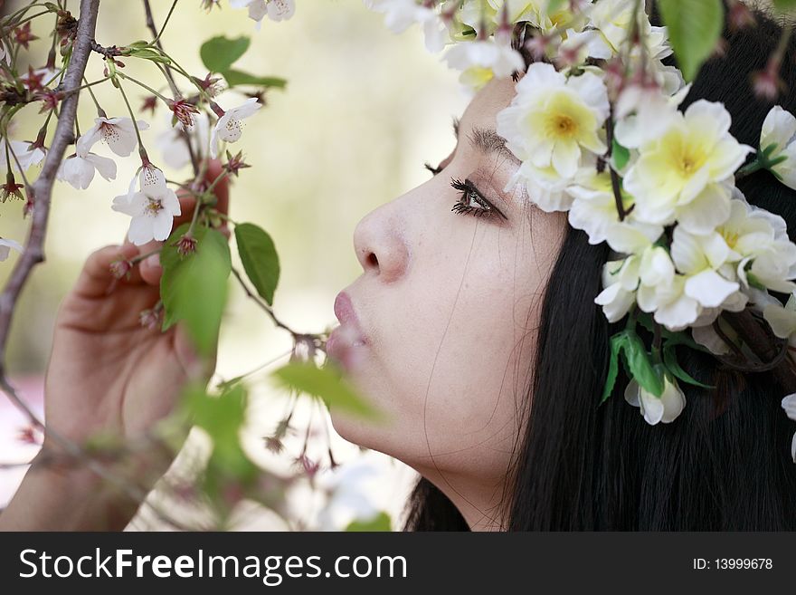 Beautiful Asian girl in cherry blossom season. Beautiful Asian girl in cherry blossom season.