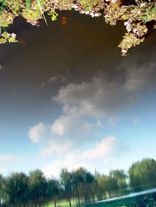 Clouds Reflected In The Pond Stock Image